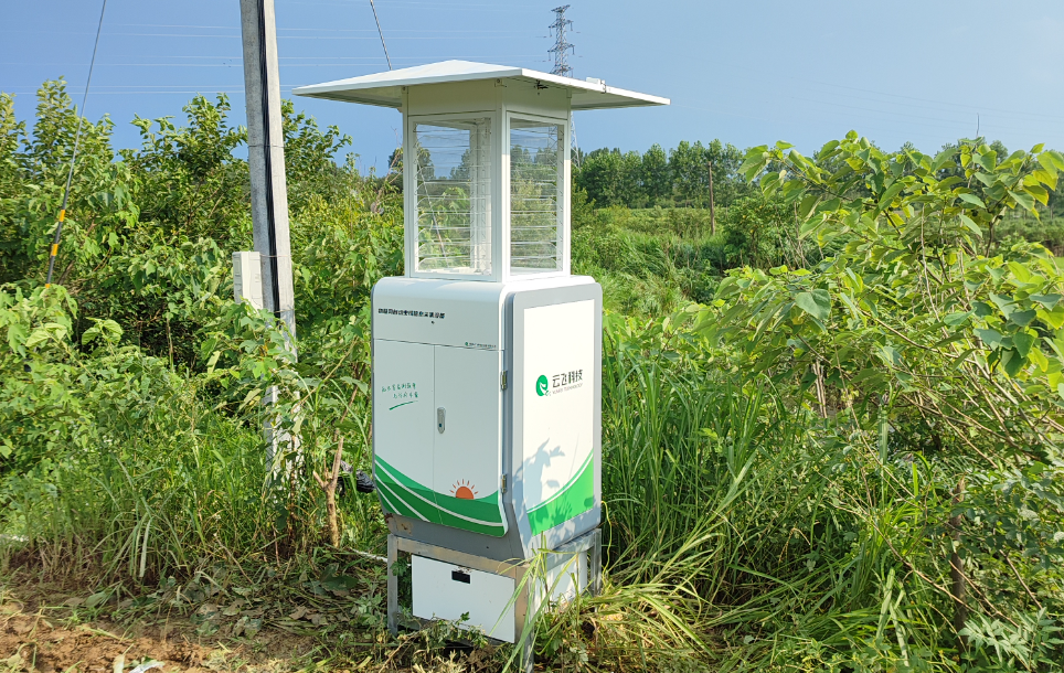 水稻虫情测报灯
