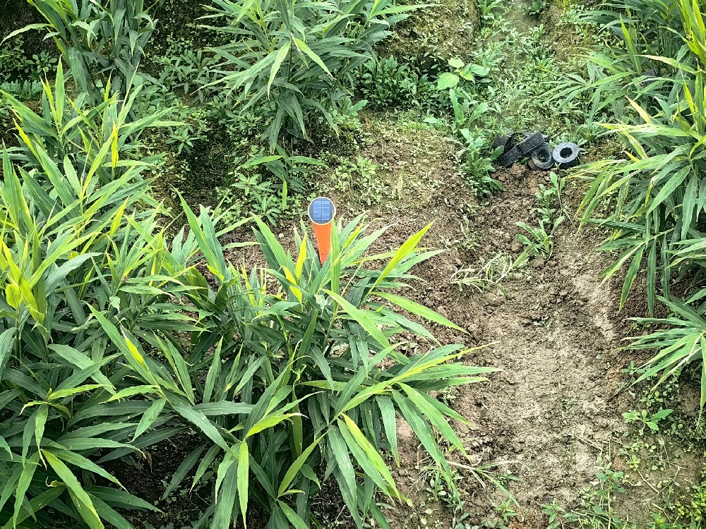 土壤墒情监测设备