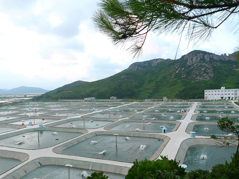 重大林草有害生物综合监测建设方案